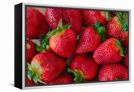 Strawberrries-monysasi-Framed Premier Image Canvas