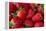 Strawberrries-monysasi-Framed Premier Image Canvas