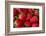 Strawberrries-monysasi-Framed Photographic Print