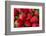 Strawberrries-monysasi-Framed Photographic Print