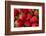 Strawberrries-monysasi-Framed Photographic Print