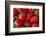 Strawberrries-monysasi-Framed Photographic Print