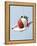 Strawberry and Cream-Steve Lupton-Framed Premier Image Canvas