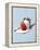 Strawberry and Cream-Steve Lupton-Framed Premier Image Canvas