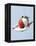 Strawberry and Cream-Steve Lupton-Framed Premier Image Canvas