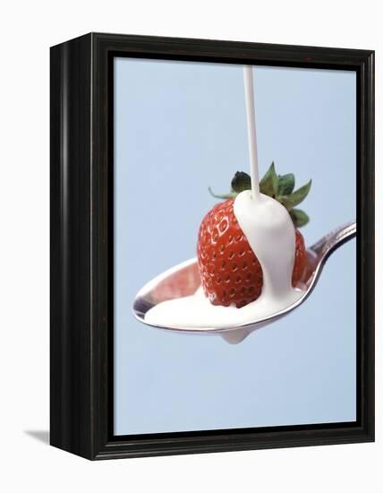 Strawberry and Cream-Steve Lupton-Framed Premier Image Canvas