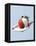 Strawberry and Cream-Steve Lupton-Framed Premier Image Canvas