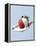 Strawberry and Cream-Steve Lupton-Framed Premier Image Canvas