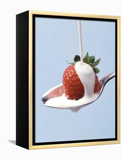 Strawberry and Cream-Steve Lupton-Framed Premier Image Canvas