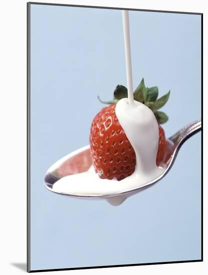 Strawberry and Cream-Steve Lupton-Mounted Photographic Print