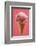 Strawberry Ice Cream Cone-Marc O^ Finley-Framed Photographic Print