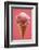 Strawberry Ice Cream Cone-Marc O^ Finley-Framed Photographic Print