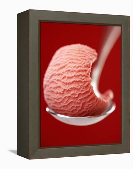 Strawberry Ice Cream on a Spoon-Marc O^ Finley-Framed Premier Image Canvas