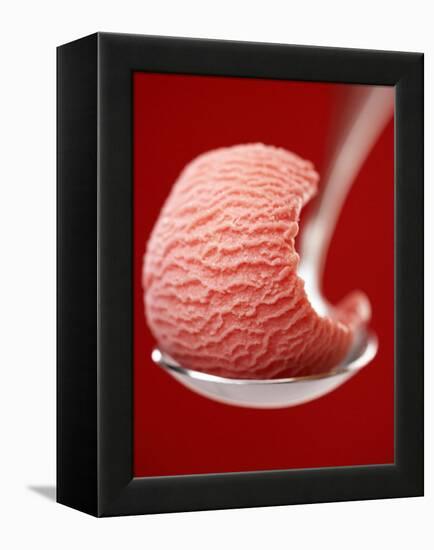 Strawberry Ice Cream on a Spoon-Marc O^ Finley-Framed Premier Image Canvas