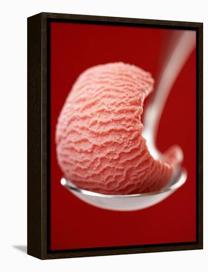 Strawberry Ice Cream on a Spoon-Marc O^ Finley-Framed Premier Image Canvas