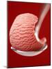 Strawberry Ice Cream on a Spoon-Marc O^ Finley-Mounted Photographic Print