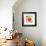 Strawberry II-Irena Orlov-Framed Art Print displayed on a wall