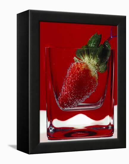 Strawberry in a Glass of Water-Vladimir Shulevsky-Framed Premier Image Canvas