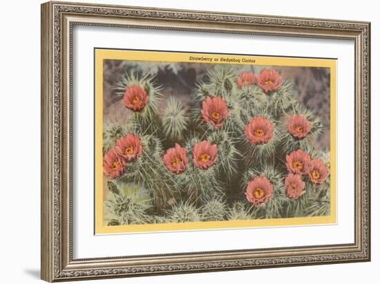 Strawberry or Hedgehog Cactus-null-Framed Art Print