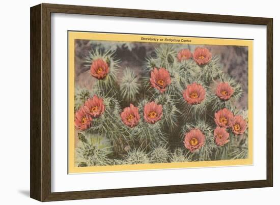 Strawberry or Hedgehog Cactus-null-Framed Art Print