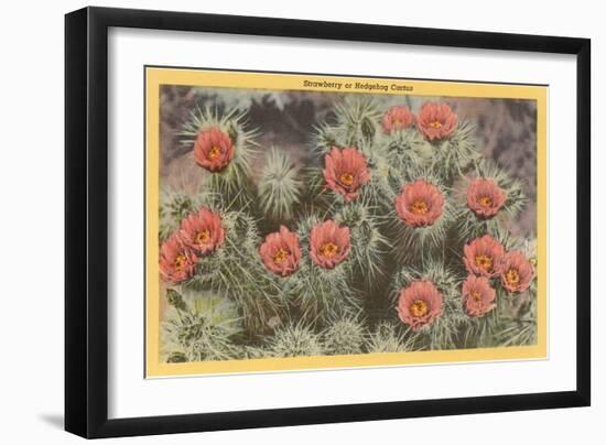 Strawberry or Hedgehog Cactus-null-Framed Art Print