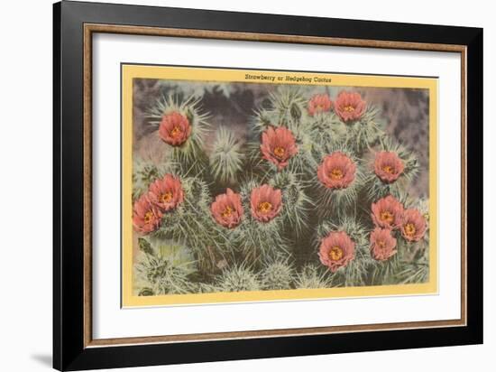 Strawberry or Hedgehog Cactus-null-Framed Art Print