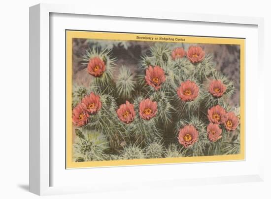 Strawberry or Hedgehog Cactus-null-Framed Art Print