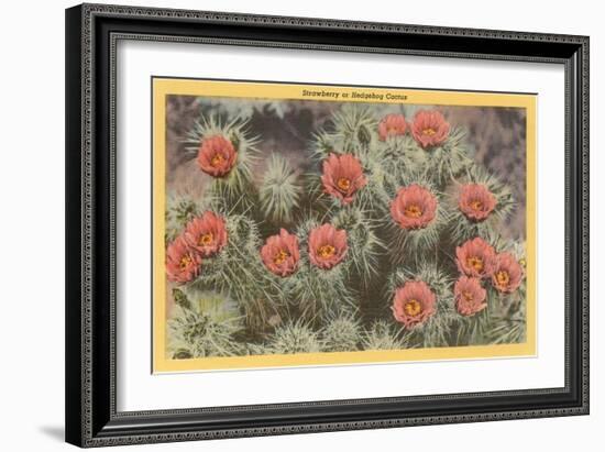 Strawberry or Hedgehog Cactus-null-Framed Art Print