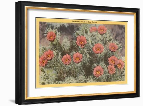 Strawberry or Hedgehog Cactus-null-Framed Art Print