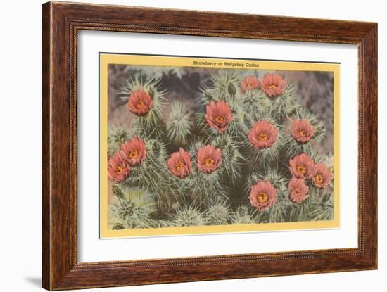 Strawberry or Hedgehog Cactus-null-Framed Premium Giclee Print