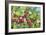 Strawberry Patch - A. Ripe on the Vine-Joanne Porter-Framed Giclee Print