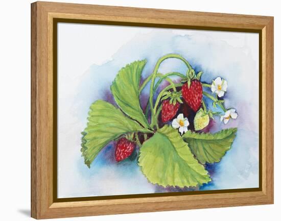 Strawberry Patch - E. Sample Berries-Joanne Porter-Framed Premier Image Canvas