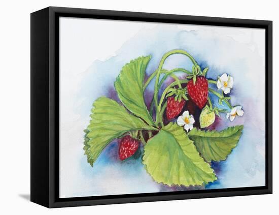 Strawberry Patch - E. Sample Berries-Joanne Porter-Framed Premier Image Canvas