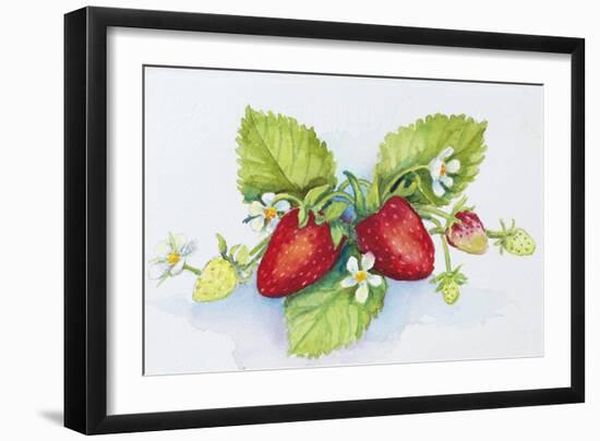 Strawberry Patch - F. Berry Border-Joanne Porter-Framed Giclee Print