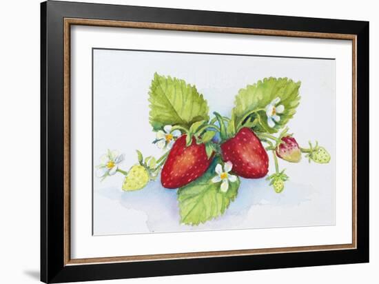 Strawberry Patch - F. Berry Border-Joanne Porter-Framed Giclee Print