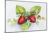 Strawberry Patch - F. Berry Border-Joanne Porter-Mounted Giclee Print