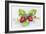 Strawberry Patch - F. Berry Border-Joanne Porter-Framed Giclee Print