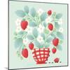 Strawberry Patch-Gia Graham-Mounted Art Print