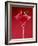 Strawberry Sorbet in a Stem Glass-Bodo A^ Schieren-Framed Photographic Print