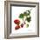 Strawberry Study II-Grace Popp-Framed Art Print