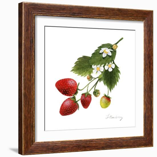 Strawberry Study II-Grace Popp-Framed Art Print