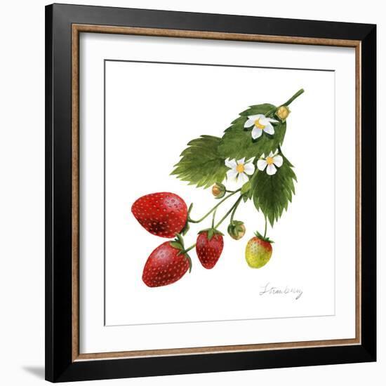 Strawberry Study II-Grace Popp-Framed Art Print