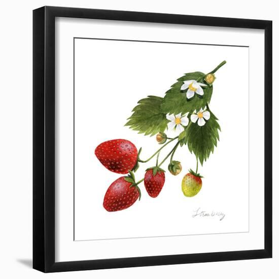 Strawberry Study II-Grace Popp-Framed Art Print