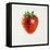 Strawberry-Sydney Edmunds-Framed Premier Image Canvas