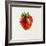 Strawberry-Sydney Edmunds-Framed Giclee Print