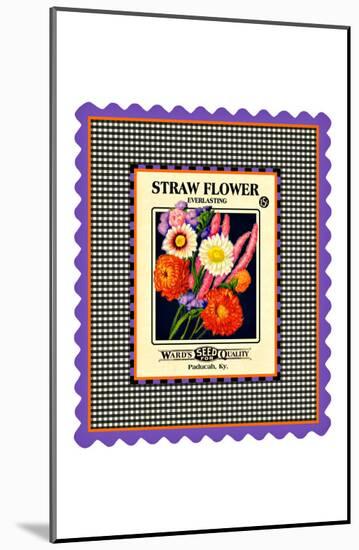 Strawflower Seed Pack-null-Mounted Giclee Print
