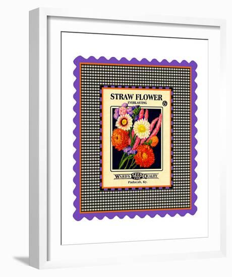 Strawflower Seed Pack-null-Framed Giclee Print