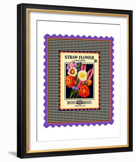 Strawflower Seed Pack-null-Framed Giclee Print