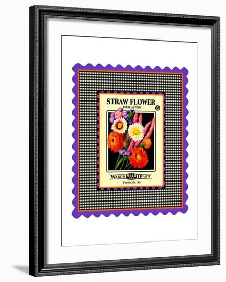 Strawflower Seed Pack-null-Framed Giclee Print