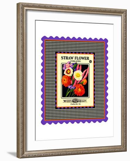 Strawflower Seed Pack-null-Framed Giclee Print